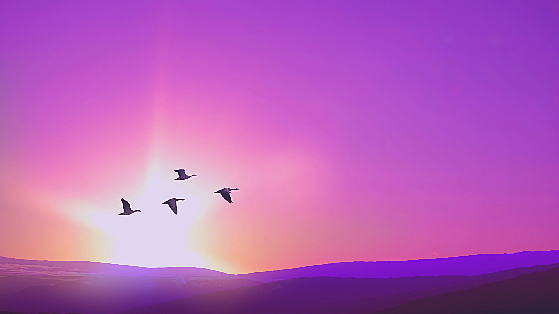 Week 7: SOUL (The 4 Releases)